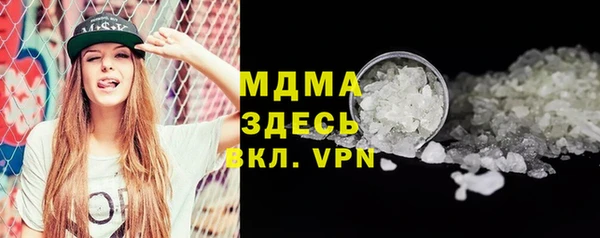 шишки Долгопрудный