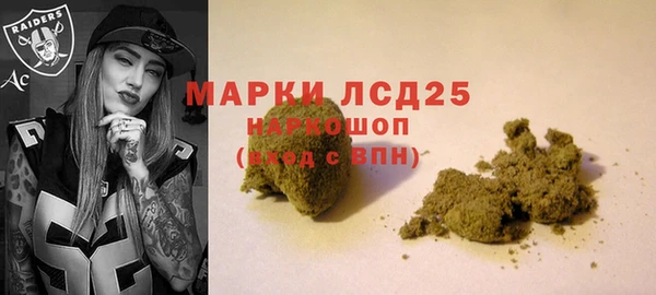 шишки Долгопрудный