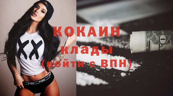 шишки Долгопрудный