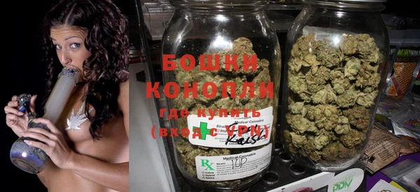 шишки Долгопрудный