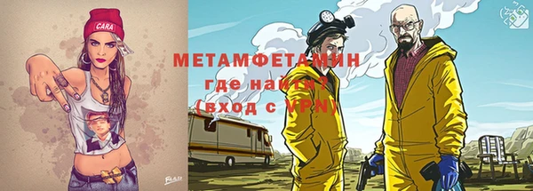 шишки Долгопрудный