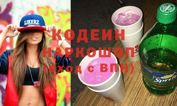 шишки Долгопрудный