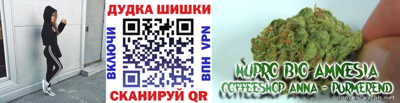 Канабис планчик закладки гидра ONION Пенза
